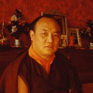 S. S. el XVI Karmapa, Rangjung Rigpe Dorje